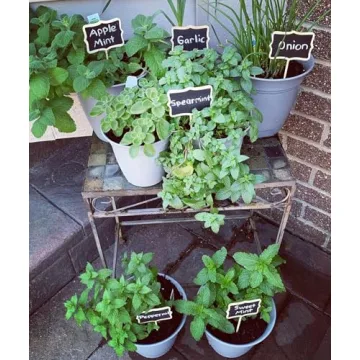 Stylish KINGLAKE Wooden Chalkboard Plant Tags for Gardens
