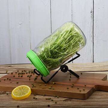 Picowe 4 Pack Sprouting Stands for Wide and Regular Mouth Mason Jars Canning Jars Holder for Sprouting, Stainless Steel