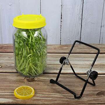 Picowe 4 Pack Sprouting Stands for Wide and Regular Mouth Mason Jars Canning Jars Holder for Sprouting, Stainless Steel