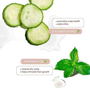 Mizani Scalp Care Dandruff Conditioner – Anti-Flake Formula