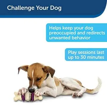 PetSafe Busy Buddy Bristle Bone Dog Toy - Treat-Holding Toy for Small Dogs - Treat Rings Included - Rigorously Tested Ingredients - Purple, Extra Small (BB-BRI-BN-XS)