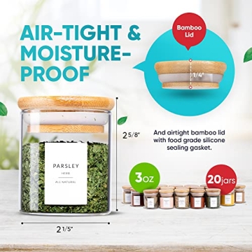Elegant Airtight Spice Jar Set with Labels - WILLDAN