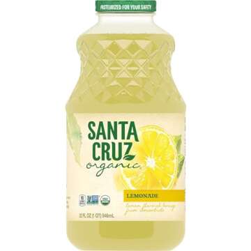 Santa Cruz Organic Original Lemonade - Refreshing Drink for All Occasions 32 fl oz