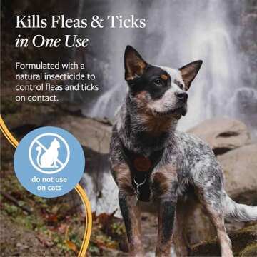 Veterinary Formula Flea and Tick Spray for Dogs, 8 oz – Easy-to-Use Dog Flea Spray, Kills on Contact, Prevents Egg & Larval Development for 14 weeks