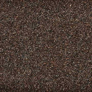 Kaytee Nyjer Wild Bird Food 3 Pound - No Mess Bird Feeding