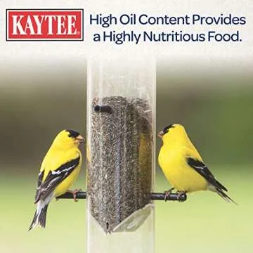 Kaytee Nyjer Wild Bird Food 3 Pound - No Mess Bird Feeding