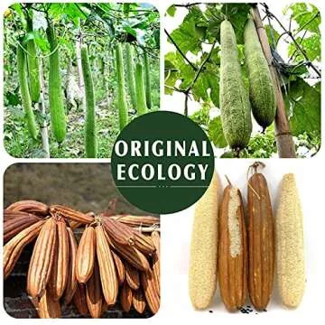 Natural Loofah Sponge Exfoliating Body Scrubber (2 Pack),Made with Eco-Friendly and Biodegradable Shower Luffa Sponge, Loofah for Women and Men, Beige