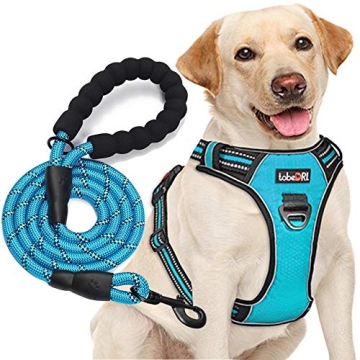 TobeDRI No Pull Dog Harness for Medium & Large Dogs - Adjustable & Reflective Design