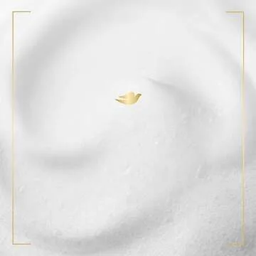 Dove Nourishing Foaming Hand Wash Aloe and Eucalyptus Touchless Battery Operated Dispenser Kit Moisturizing Foaming Hand Wash Refill 10.1 oz