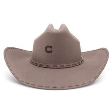 Charlie 1 Horse Hats Men's Bucksnort 4" Brim Stone Hat