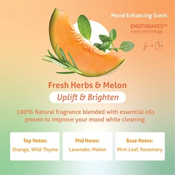 Therapy Clean All-Purpose Cleaner for Fresh Homes