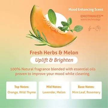 Therapy Clean All-Purpose Cleaner for Fresh Homes