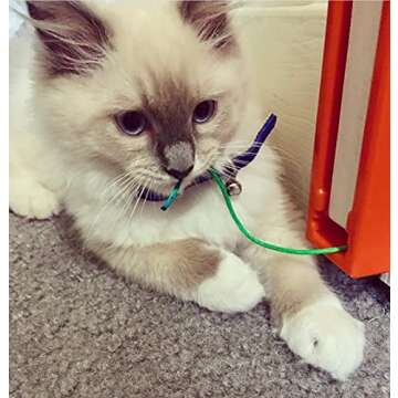 Moody PET Fling-AMA-String Cat Toy