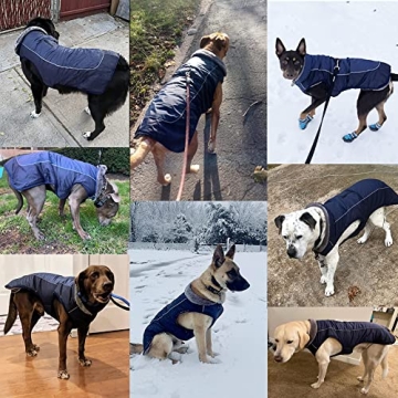 Warm Dog Winter Coat - Cozy, Reflective, Waterproof