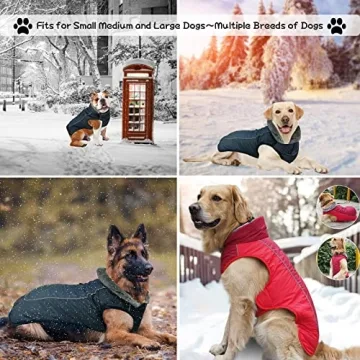 Warm Dog Winter Coat - Cozy, Reflective, Waterproof