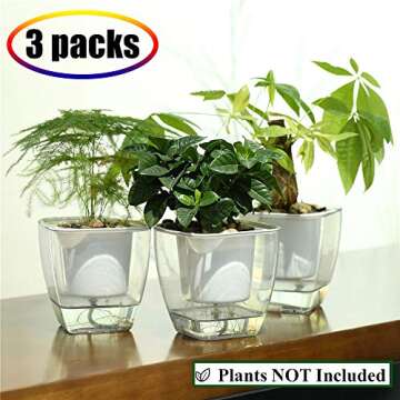 Self Watering Planter , FENGZHITAO African Violet Pots, Clear Plastic Automatic-Watering Planter Flo...