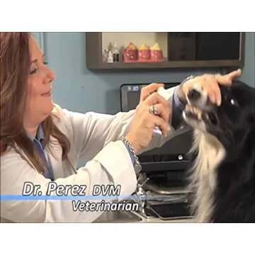 Dr. George's Plaque Blast