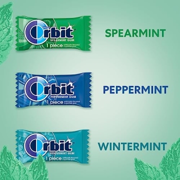 ORBIT Sugar Free Assorted Mint Gum, 200-Piece Bulk Pack