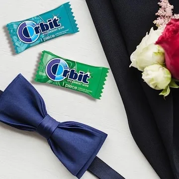 ORBIT Sugar Free Assorted Mint Gum, 200-Piece Bulk Pack