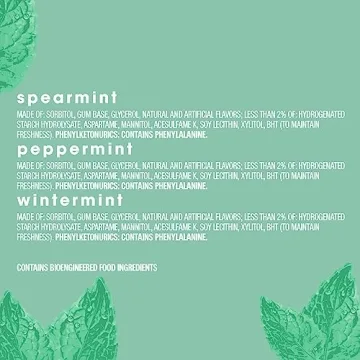 ORBIT Sugar Free Assorted Mint Gum, 200-Piece Bulk Pack