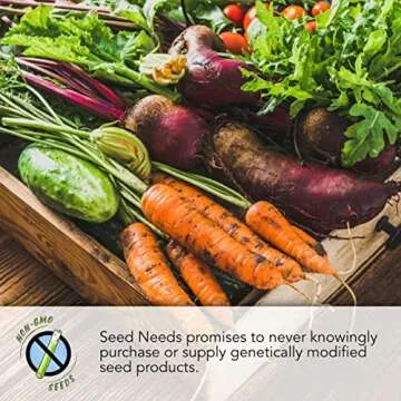 Cauliflower Seed Packet Collection by Seed Needs - Non-GMO