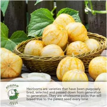 Cauliflower Seed Packet Collection by Seed Needs - Non-GMO