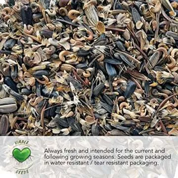 Cauliflower Seed Packet Collection by Seed Needs - Non-GMO