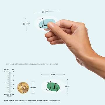 easykart labels 240 Labels Month Stickers 12 Months of The Year Color Coding Clear Label Oval Stickers Month Labels Self Adhesive Stickers 12 Labels Per Sheet Multi Colors 2 Inch (20 Sheets)