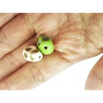 50 Mixed Color Turquoise Skull Loose Bead Pack for DIY Jewelry