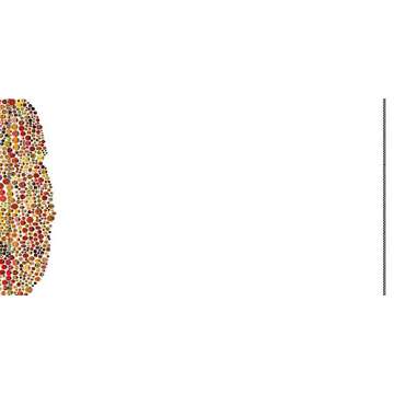 The Ladybug Race - Charming Children's Storybook about Friendship and Imagination