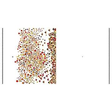 The Ladybug Race - A Charming Children’s Storybook