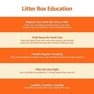 Amazon Basics Large Cat Litter Box with Scoop and High Sides