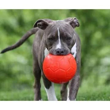 Jolly Pets Large Soccer Ball Floating-Bouncing Dog Toy, 8 inch Diameter, Orange