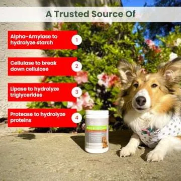 PawMedica Dog Probiotics - Digestive Support Chews