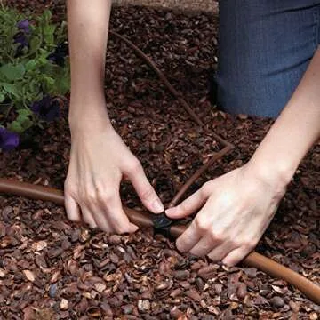 Raindrip Automatic Drip Irrigation Kit for Easy Watering