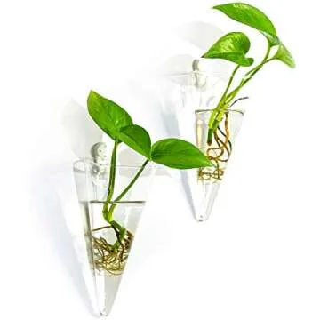 Kingbuy Wall Plant Terrarium Holder Flower Vase Hanging Glass Planter Propagation Stations for Indoor Kitchen Home Mounted Decor, Cone Shape, 2 Pack, Large