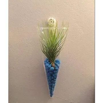 Kingbuy Wall Plant Terrarium Holder Flower Vase Hanging Glass Planter Propagation Stations for Indoor Kitchen Home Mounted Decor, Cone Shape, 2 Pack, Large