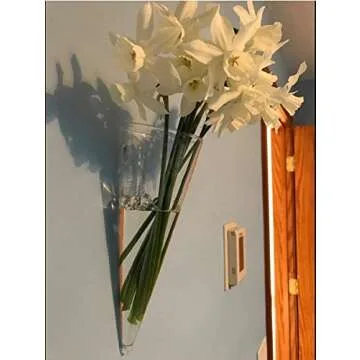 Kingbuy Wall Plant Terrarium Holder Flower Vase Hanging Glass Planter Propagation Stations for Indoor Kitchen Home Mounted Decor, Cone Shape, 2 Pack, Large