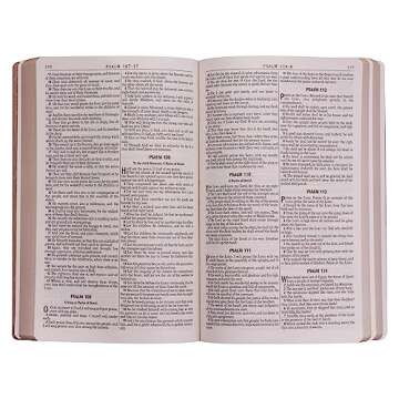 KJV Holy Bible, Gift and Award Bible Faux Leather Softcover, King James Version, Tan (KJV Gift Award Editions)