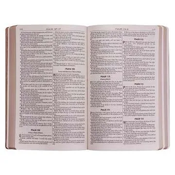 KJV Holy Bible, Gift and Award Bible Faux Leather Softcover, King James Version, Tan (KJV Gift Award Editions)