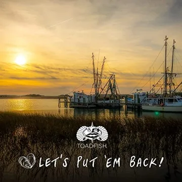 Toadfish Non-Tipping Can Cooler - Suction Cup Drink Holder