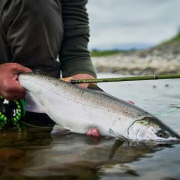 Redington Euro Nymph Fly Fishing Kit for Every Angler