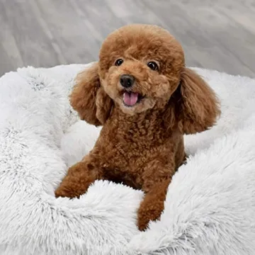 FuzzBall Fluffy Luxe Pet Bed for Small Dogs and Cats