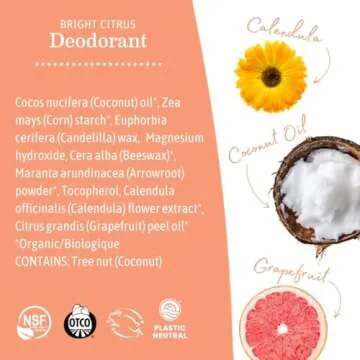 Earth Mama Bright Citrus Deodorant | Safe for Sensitive Skin, Pregnancy and Breastfeeding, Contains Organic Grapefruit and Calendula, No Baking Soda or Aluminum, 2.65-Ounce (2-Pack)
