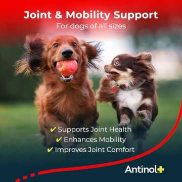 Antinol Plus, Mobility, Hip, and Joint Supplement for Dogs, Green-Lipped Mussels and Krill Oil - Dog...