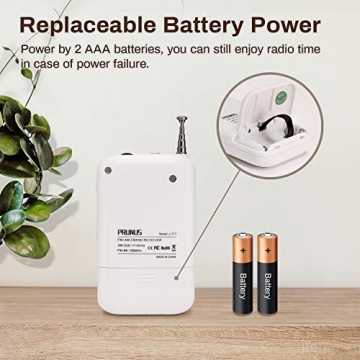 PRUNUS J-777 Portable AM FM Radio for All Ages