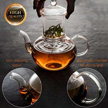 Moss & Stone 27oz Glass Tea Kettle & Cups Set
