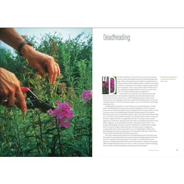 The Well-Tended Perennial Garden: The Essential Guide to Planting and Pruning Techniques, Third Edition