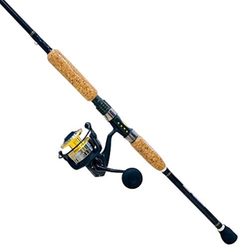 Blue Marlin Saltwater Fishing Rod and Reel Combo