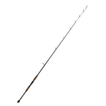 Blue Marlin Saltwater Fishing Rod and Reel Combo